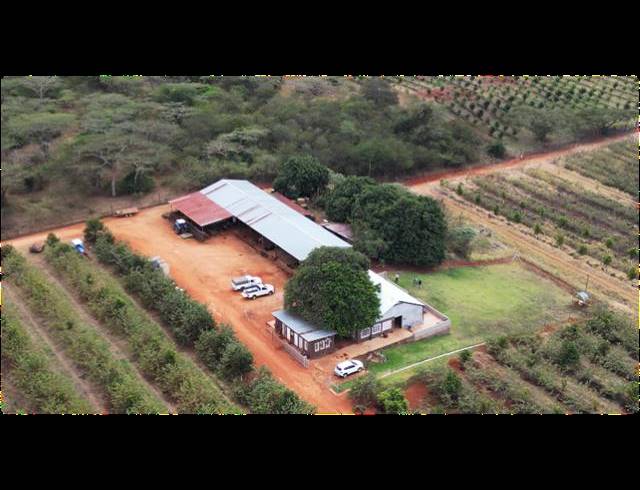 FARM FOR SALE IN LOUIS TRICHARDT